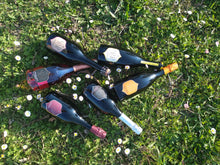 Carica l'immagine nel visualizzatore di Gallery, BOX DEGUSTAZIONE 6 BOTTIGLIE